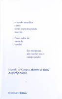 Haroldo de Campos, Hambre de Forma